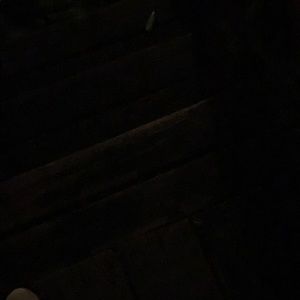 Meet your Posher, Jessie